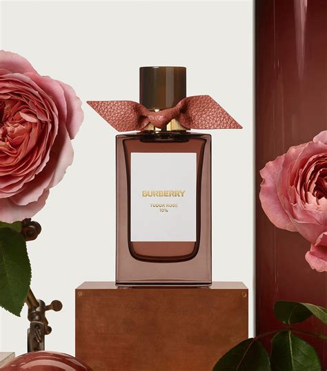 burberry english rose 300ml|burberry signatures for men.